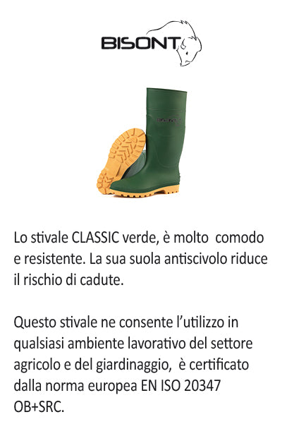 KLASSISCHE grüne Bisont-Stiefel